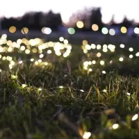 Гирлянда &laquo;Нить&raquo; 1 м роса, IP20, серебристая нить, 10 LED, свечение жёлтое, CR2032х2