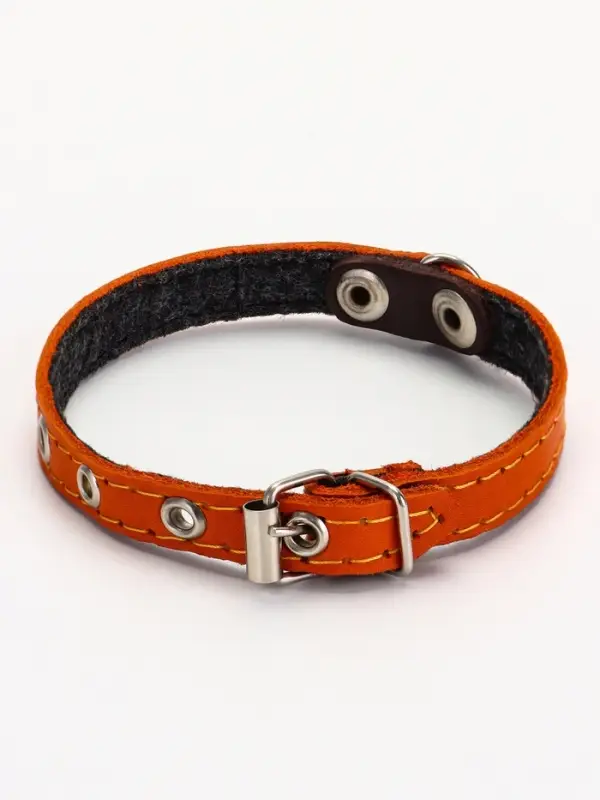 Ошейник кожаный однослойный  на  фетре неукрашенный, 1,2 см, ОШ 20-26 см,