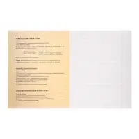 Тетрадь предметная Calligrata &laquo;На Чёрном&raquo;, 48 листов в линию Русский язык, со справочным материалом, обложка мелованный картон, УФ-лак, блок офсет