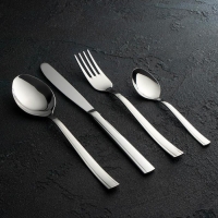 Набор столовый &laquo;Торжество&raquo;, 24 предмета, толщина 2 мм, сувенирная коробка, цвет серебряный