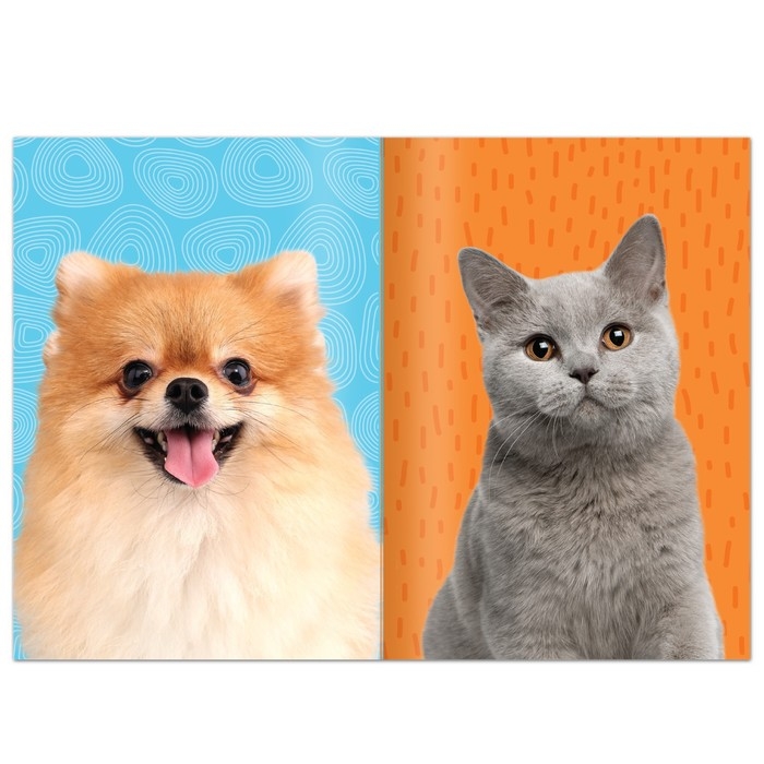 Книга с наклейками &laquo;Укрась питомца&raquo;, 12 стр., 55 наклеек