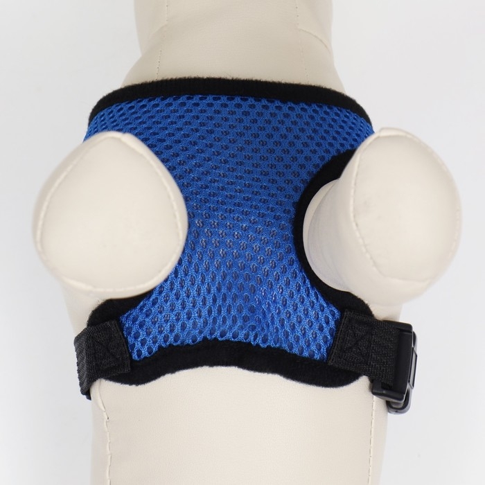 Шлейка мягкая из неопрена, размер M, ОШ 34 см, ОГ 32-42 см, синяя