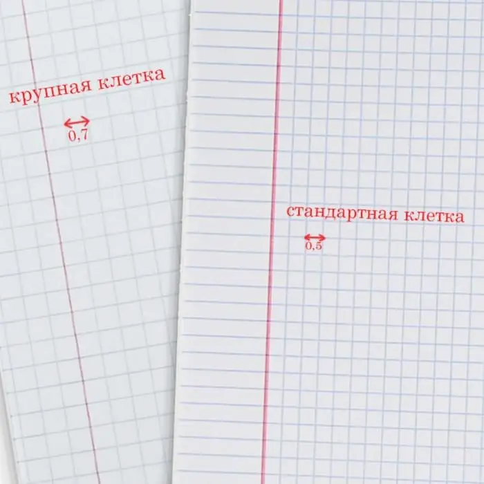 Тетрадь 12 листов в крупную клетку ErichKrause &laquo;Классика&raquo;, обложка мелованный картон, зелёная