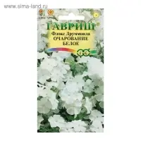 Семена цветов Флокс "Очарование белое", ц/п,  друммонда, О, 0,05 г