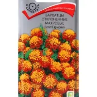 Семена цветов Бархатцы отклоненные махровые Петит гармония, 0,4гр