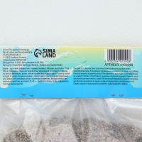 Лилия Турецкая шапочная "Spec.Var. Rubrum Uchida", р-р 12/14, 2 шт.