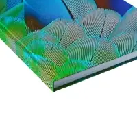 Колледж-тетрадь в твердой обложке 7БЦ, А4, 160 листов, Перья, блок в клетку, матовая ламинация, ВЫБОРОЧНЫЙ ЛАК