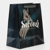 Пакет подарочный ламинированный, упаковка, &laquo;Никогда не сдавайся&raquo;, радужная голография, ML 23 х 27 х 11.5 см