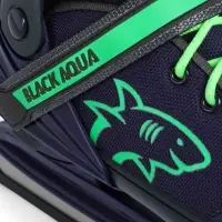 Коньки раздвижные BlackAqua, р. 39-42, для фитнеса, синие, зелёные