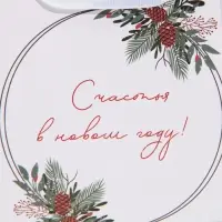 Пакет подарочный новогодний ламинированный квадратный &laquo;Зима&raquo;, 14 х 14 х 9 см