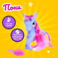 Пони &laquo;Красотка&raquo; с аксессуарами, цвета МИКС