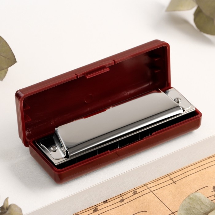 Губная гармошка Music Life T10 C диатоническая, 10 отверстий, с футляром
