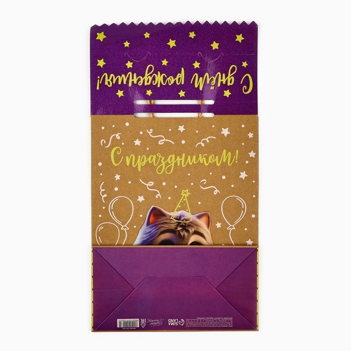 Пакет с клапаном &laquo;С Днём рождения&raquo;, котик, крафт, глиттер, 19,5 &times; 10 &times; 25.2 см