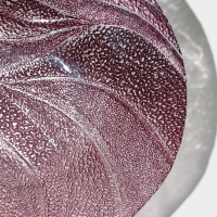 Салатник стеклянный &laquo;Драхна&raquo;, d=33 см, цвет бордовый