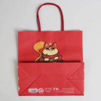 Пакет подарочный новогодний &laquo;Следующий год будет лучше&raquo;, 22 х 22 х 11 см