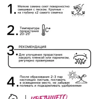 Семена цветов Гайлардия "Лорензиана", смесь окрасок, 0,3 г