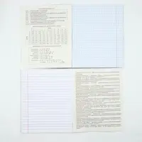 Тетради предметные, 36 л., набор из 12 шт., блок №1 &laquo;Нюд&raquo;