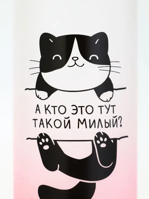 Бутылка для воды &laquo;Котя&raquo;, 300 мл