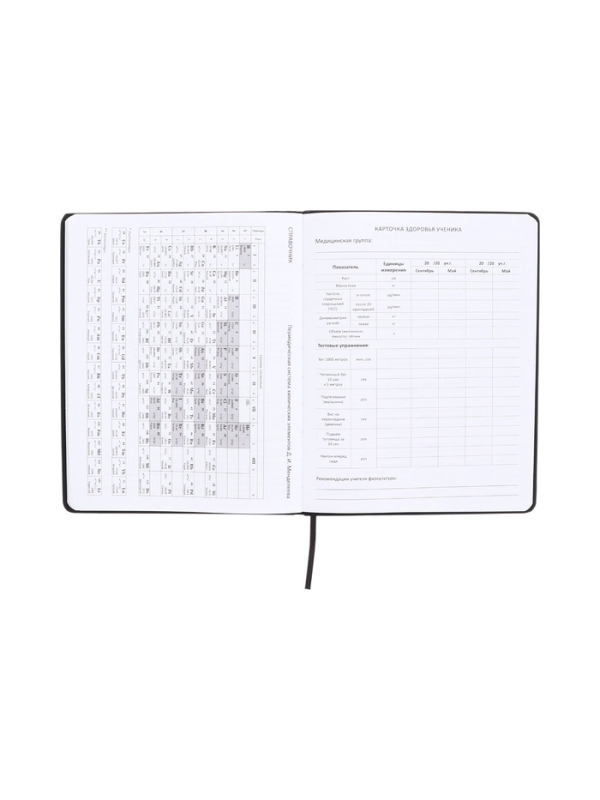 Дневник школьный 1-11 класс, deVENTE. 99% CRAZY&raquo;, искусственная кожа, шелкография