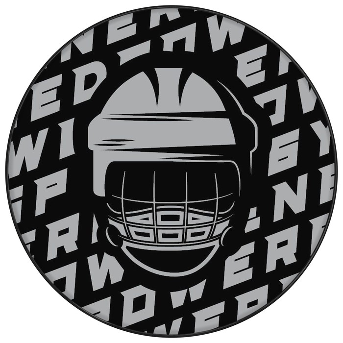 Шайба хоккейная Winter Star, взрослая, d=7,6 см