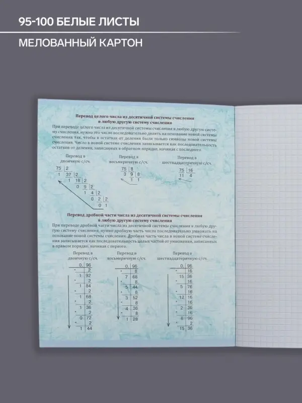 Тетрадь предметная 48 листов в клетку, Calligrata &laquo;Герб. Информатика&raquo;, обложка мелованный картон
