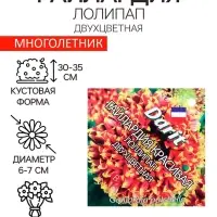 Семена цветов Гайлардия "Лоллипап", 0,1 г
