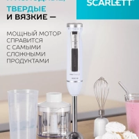 Блендер погружной 3в1 1600 Вт SC-HB42F29