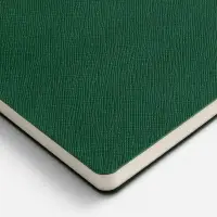 Ежедневник Lungo, недатированный, зеленый