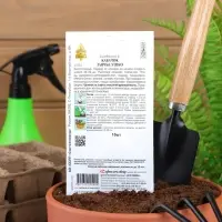 Семена Кабачок "Заячье ушко", 10 шт.