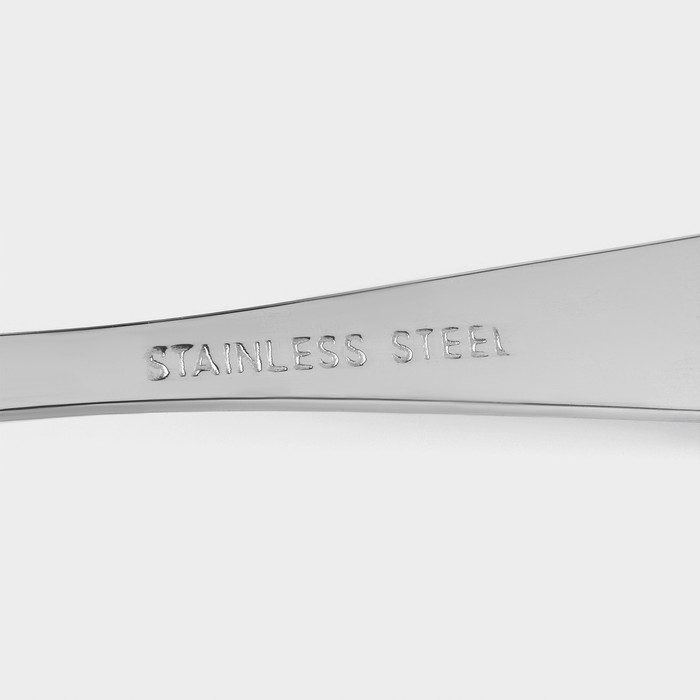 Ложки столовые из нержавеющей стали Доляна &laquo;Букет&raquo;, длина 20,5 см, 6 шт, цвет серебряный