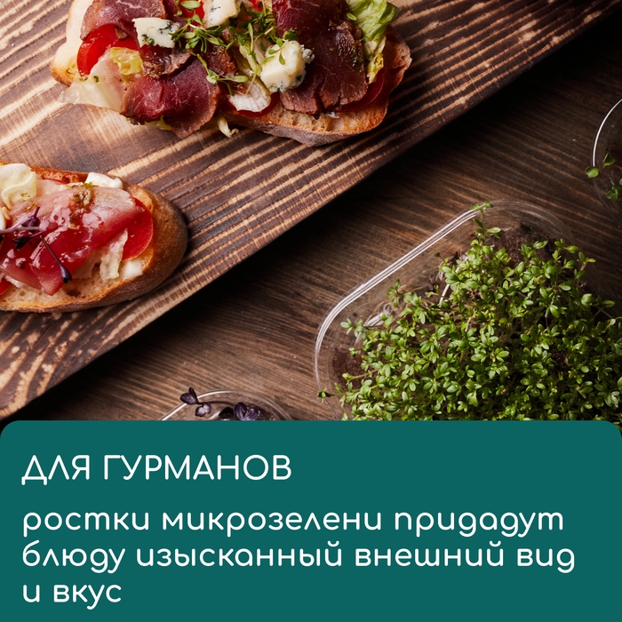 Коврик джутовый для выращивания микрозелени, 10 &times; 15 см, толщина 1 см, набор 5 шт.