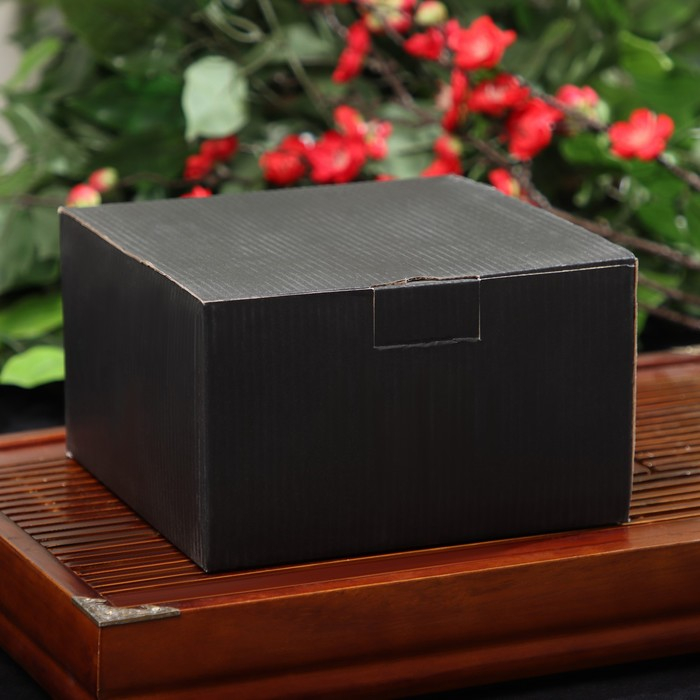 Чайник для плиты Доляна &laquo;Бокей. Этно&raquo;, 700 мл, с ситом, чугун, с эмалированным покрытием, индукция, цвет чёрный