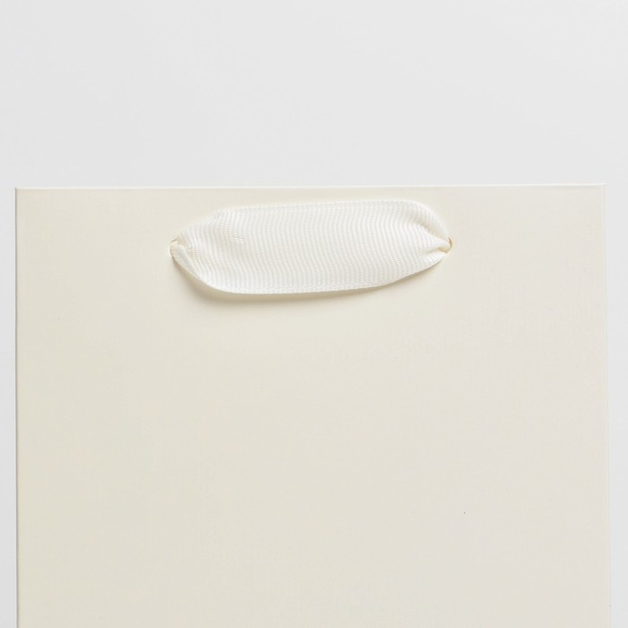 Пакет подарочный под бутылку, упаковка, &laquo;Молочный&raquo;, 13 x 36 x 10 см