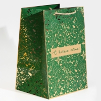 Пакет подарочный новогодний ламинированный &laquo;Хочу в сказку&raquo;, 23 х 35 х 20 см, Новый год