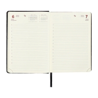 Ежедневник датированный 2024 A5 176 листов, deVENTE.Wild, твёрдая обложка из искусственной кожи, золотой срез, ляссе, кремовый блок 70 г/м2, чёрный