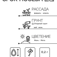 Семена цветов Астра низкорослая "Желтый ковер", 0,2 г