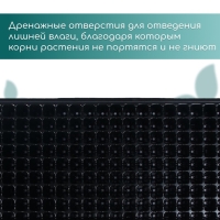 Кассета для выращивания рассады, на 200 ячеек, по 7 мл, из пластика, чёрная, 55 &times; 28 &times; 4 см, Greengo