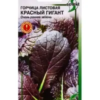 Семена Горчица листовая Красный гигант 140 шт
