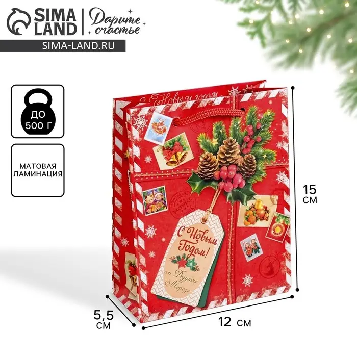 Пакет подарочный новогодний ламинированный &laquo;Подарок от Деда Мороза&raquo;, 12 х 15 х 5.5 см