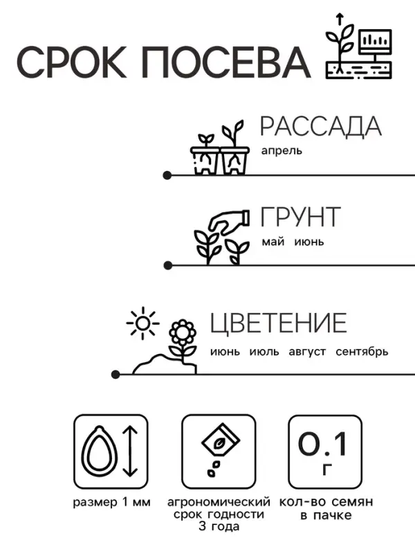 Семена  цветов Портулак махровый "Веселый хоровод", смесь окрасок, О, 0,1 г