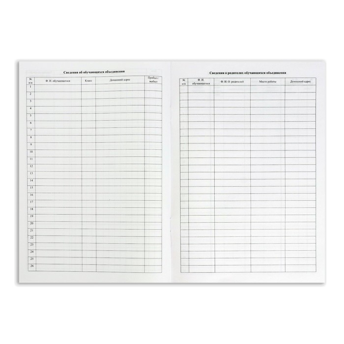 Журнал учета внеурочной деятельности в образовательной организации А4, 32 листа