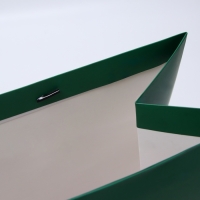 Пакет ламинированный горизонтальный "Изумрудный", XL 49 &times; 40 &times; 19 см