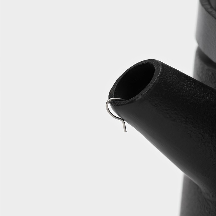 Чайник для плиты с эмалированным покрытием внутри Magma &laquo;Сайгон&raquo;, 1,1 л, чугун, с ситом, индукция, цвет чёрный