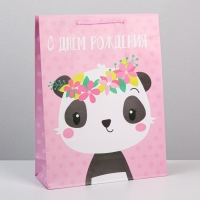 Пакет подарочный ламинированный, упаковка, &laquo;С Днём Рождения&raquo;, L 28 х 38 х 9 см