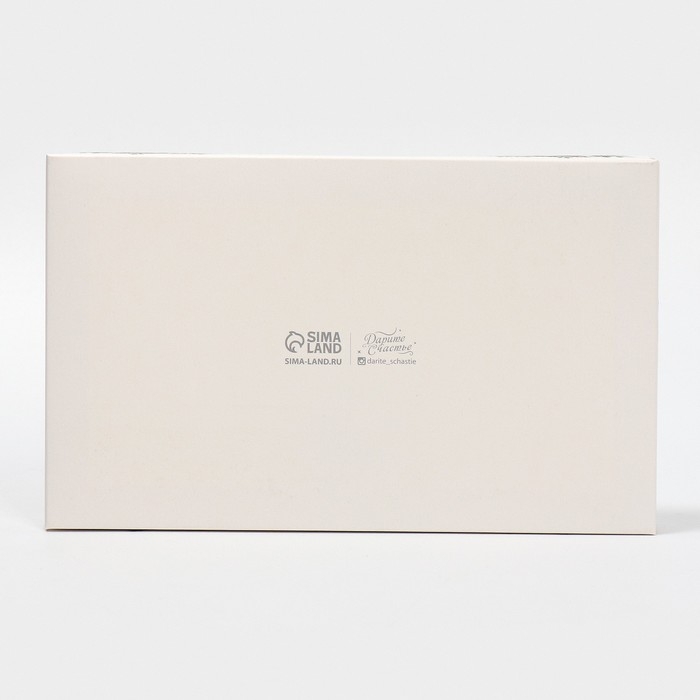 Коробка для десерта &laquo;Веточки&raquo;, 22 х 8 х 13,5 см, Новый год