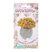 Семена цветов Краспедия шаровидная &laquo;Билли Баттон&raquo;, многолетник, сухоцвет, 0 ,05 г