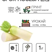 Семена Дайкон "Нацукаши", 1 г