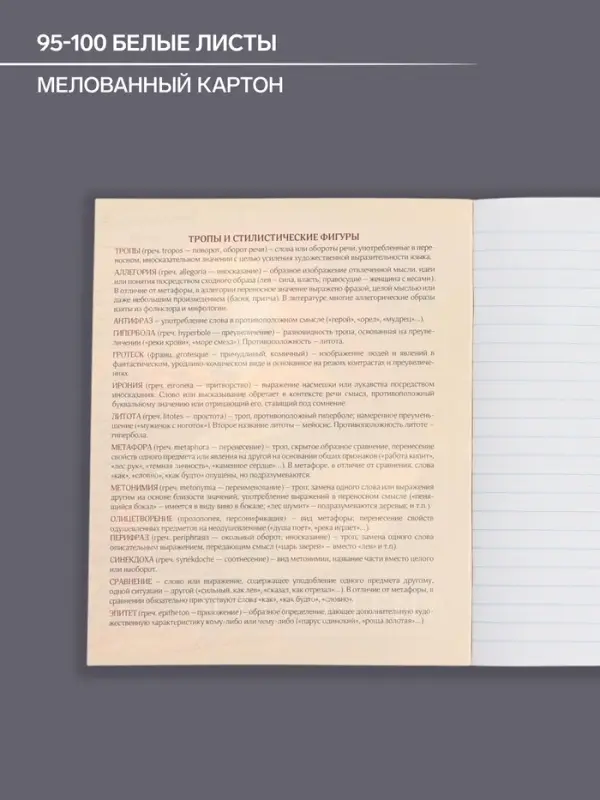 Тетрадь предметная 48 листов в линию, Calligrata &laquo;Доска. Литература&raquo;, обложка мелованный картон