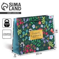 Пакет подарочный ламинированный, упаковка, &laquo;Present for you&raquo;, MS 23 х 18 х 8 см