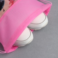 Мешок для обуви &laquo;Школьницы&raquo; полиэстер, размер 30 х 40 см